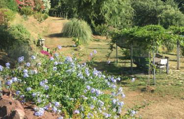 Cinque Terre, Tuscany, Liguria, Lerici, apartment #1 - Photo 11