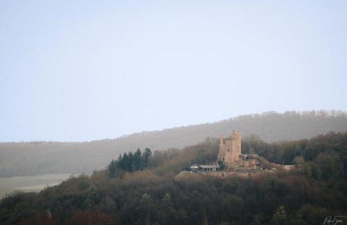 Ferienwohnung Graf Heinrich - Foto 20