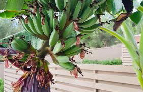 Epos Villas & Luxury Studios - Foto 34