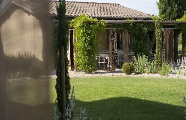 Rinidia Bio - Foto 73