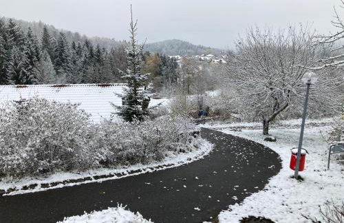 Ferienhaus Brandt im Ferienpark Falkenstein - Foto 61