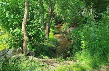 Altes Otto Haus - Foto 62