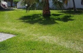 Casa Sofia - Foto 20