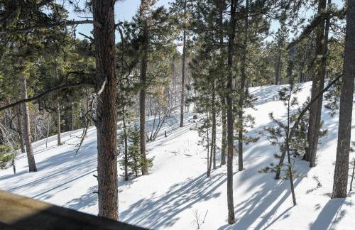 Foote Creek Lodge - Photo 34