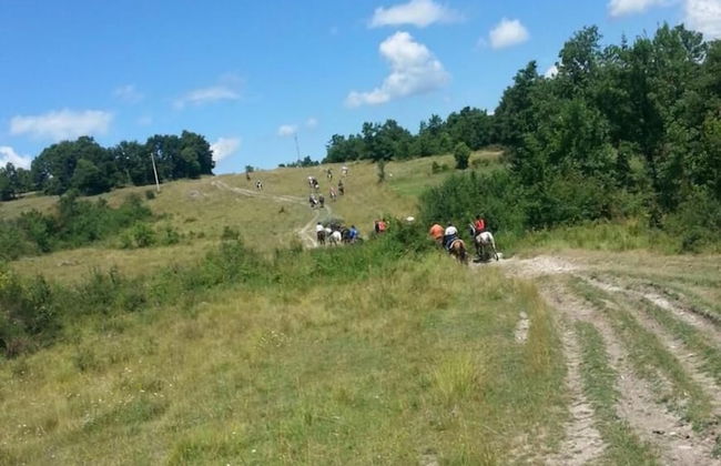 Agriturismo Yes Boss - Foto 28