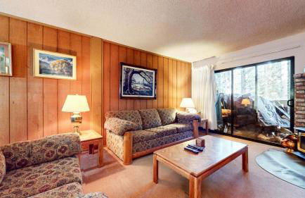 Summit Condominium #267 Condo - Foto 8