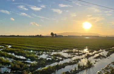 Getaway with views of the rice fields Relax and beach - Foto 15