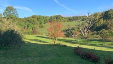 Forsthaus in Waldhessen - Foto 5