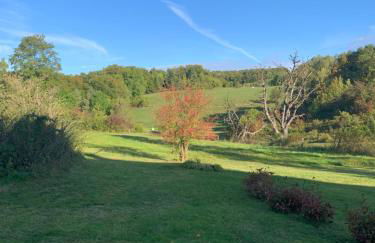 Forsthaus in Waldhessen - Foto 5