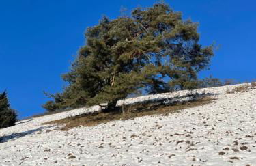 Ferienwohnung Aussicht, Monheimer Alb, Altmühltal - Foto 34
