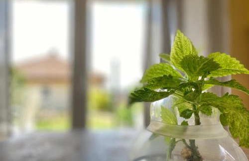 Apartmenthaus Lütt Meer - Foto 31