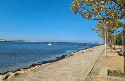 Apartamento vista Douro e Mar - Foto 69