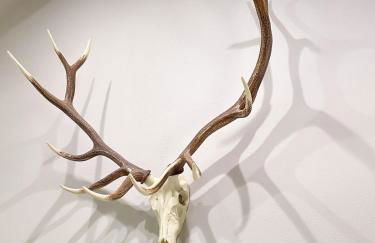 Secluded Hill Country Getaway with Spa and Sauna - Foto 14