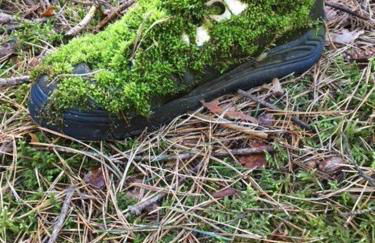 Ferienappartements am See - Foto 6