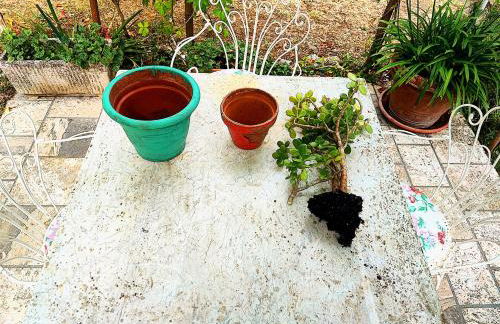 La Casa di Cesarina - Foto 51