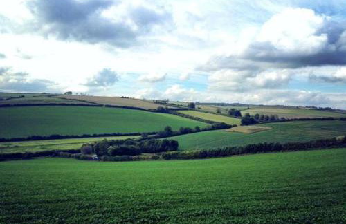 Frome Lodge House - Foto 22