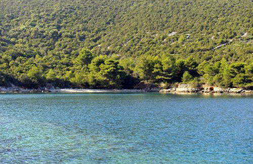 The House Aunt Regina - Foto 55