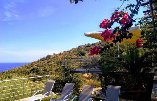 Dio Escapes Houses - Photo 82