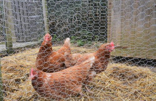 2 Bed in Bude oc-coryw - Foto 18