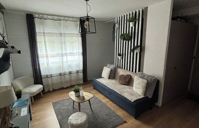 Au coeur des Alpes - Foto 7