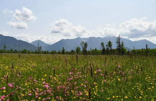 Neue 2 Zimmer FeWo im Murnauer Moos - Foto 17