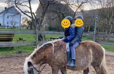 Landhof Lieg - Tierische Auszeit in unseren gemütlichen Ferienwohnungen - Foto 40