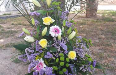 Alicante-Rental Alojamientos Turisticos CULTURAS Y COLORES EN ALMAGRO -Parking -Promocion EMPRESAS- - Foto 56