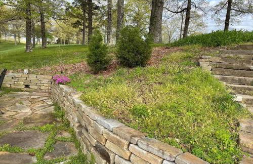 Buffalo River Lodge St Joe AR - Foto 59