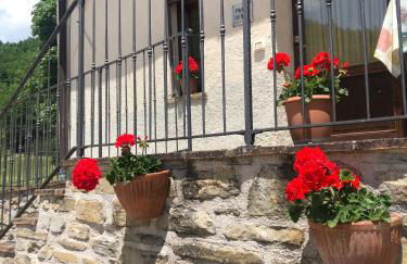 Agriturismo Sacchiafarm - Foto 41