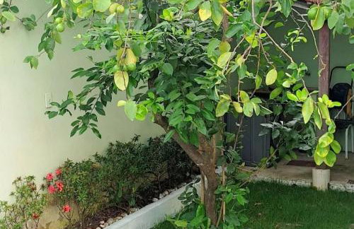 D'ulé Casa - Foto 20