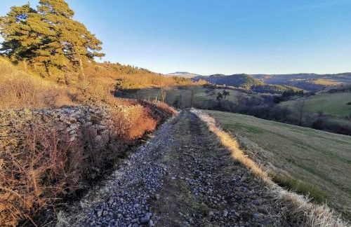 Les gîtes Estaou Treillo - Foto 52