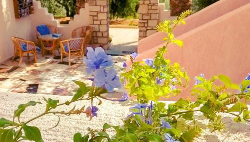 Ierapetra La Luna Blu - Foto 5, Garden