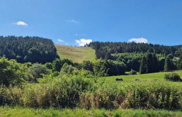 Komfort-Fewo Maisonette-Traum- für Genießer - Foto 23