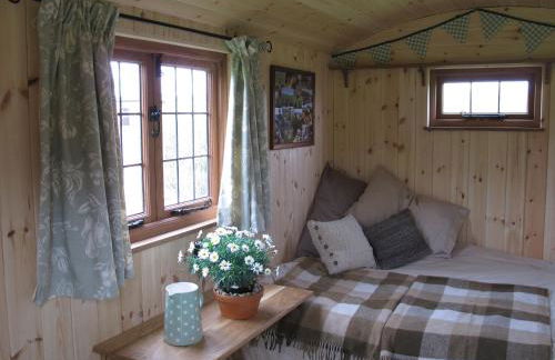 Marshwood Farm B&B and Shepherds Hut - Foto 24