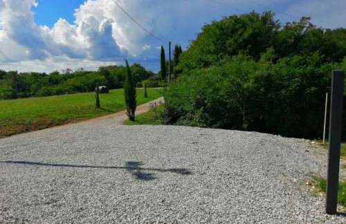 Dolce Bosco - Foto 27