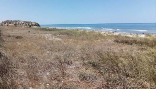 Lodge océan - Foto 2