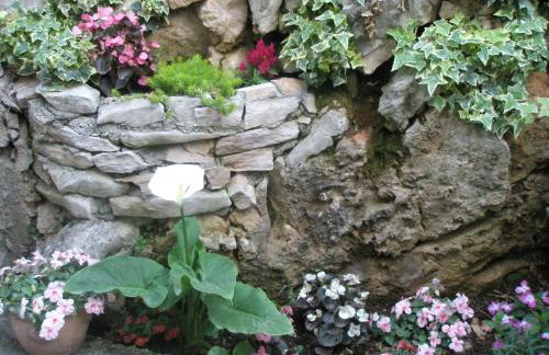 Apartments Baric - Foto 16