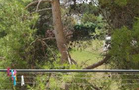 Agréable appartement Montfavet Avignon - Photo 8