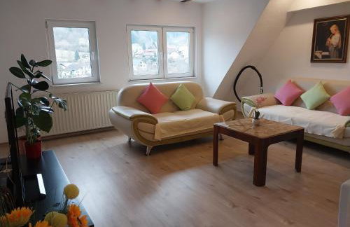 Talblick & Ruhe in Hirschhorn Langenthal - Foto 2