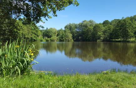 Apartment Am Sternberg 236 - Foto 48