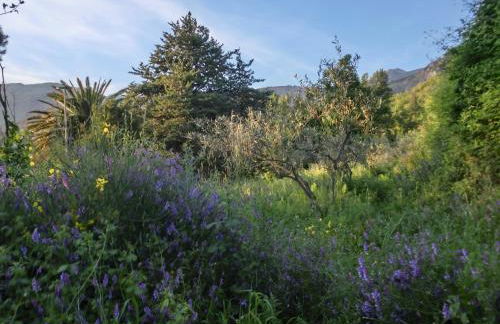 Agriturismo Cuca - Foto 52