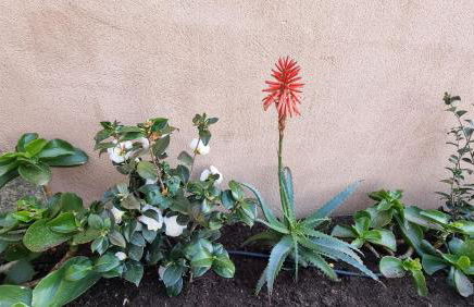 Résidence Le Bella Vista - Foto 7