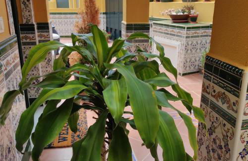 Paraíso del mar- Villa privada con piscina propia y vista al mar cerca de la playa - Photo 45