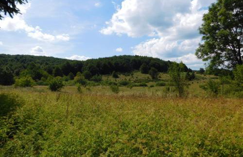 Vacation House Home, Plitvice Lakes National Park - Foto 41