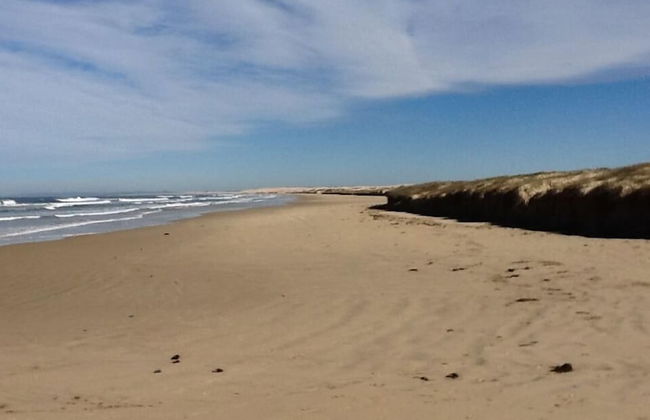 Nelson Bay Breeze Holiday Apartments - Foto 47