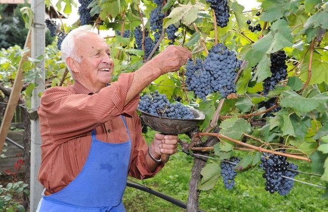 Magdalena at the Urbanhof - Foto 19