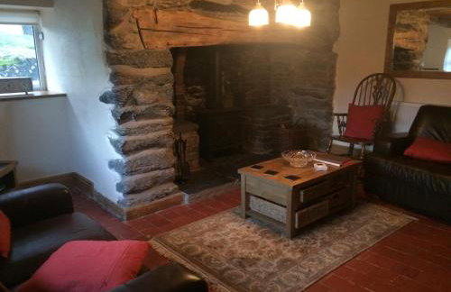 Maes Madog Cottages - Foto 43