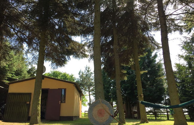 Ferienhaus Mirow-Lärz - Kamin Wald Ruhe - Foto 21