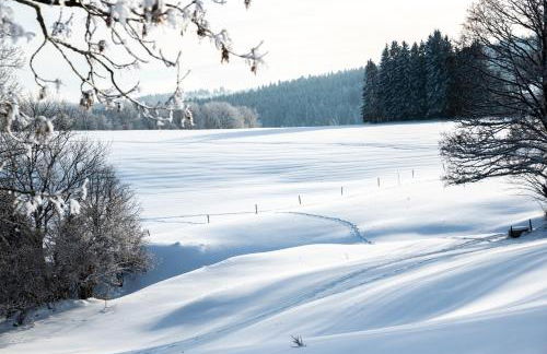 Notre Chalet - Boutique Appartements 4 étoiles & Sauna - Foto 44