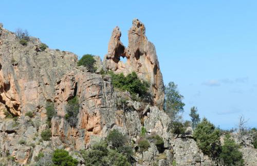 Les Asphodèles - Foto 16